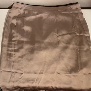 Silk Skirt
